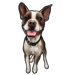 Paw Prints Doggy Daycare & Grooming Inc.