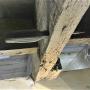 Rotten Floor Joists Rotten Floor Joists