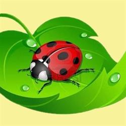 The Kinder Garden - Children's Centre for Excellence and Early Education