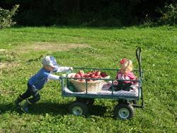 Windwood Farms