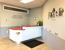 Bay Ridges Animal Clinic