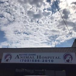 Notre Dame Animal Hospital