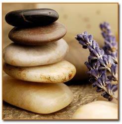 Crave Wellness Massage Therapy Inc.