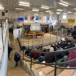 Kawartha Lakes Community Sales Barn Inc