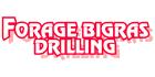 Forage Bigras Drilling