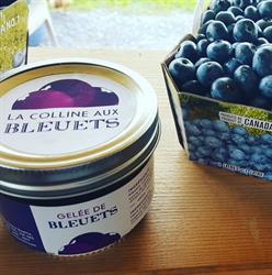 La Colline Aux Bleuets