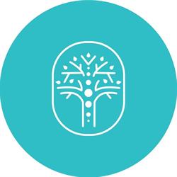 Belleville Active Care Chiropractic