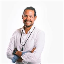 The Holistic Nutritionist