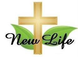 New Life Baptist church