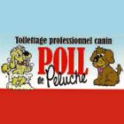 Le Salon Poil De Peluche Enr