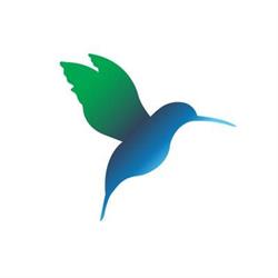 Hummingbird Child Psychology