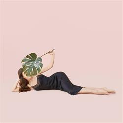 SILK + PALM