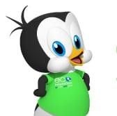 Eco Insulation Canada
