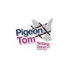 Pigeon Tom