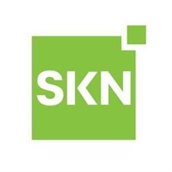 Skn Financial Sub