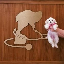 Burlington Lakeshore Veterinary Hospital