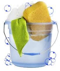 Total Green Commercial Cleaning and Maintenance Ltd.