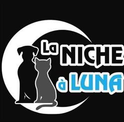 Niche à Luna