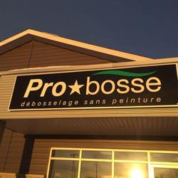 Pro-bosse