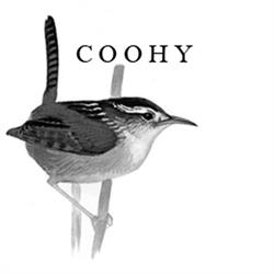 Club Observateurs Oiseaux Haute-Yamaska COOHY
