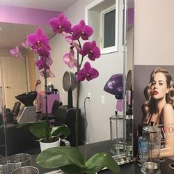 Wildflowers Family Hair Salon