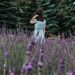 Greendale Lavender Company