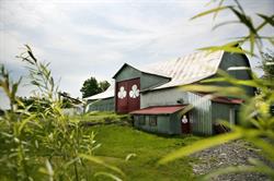 Ferme D. Campagna
