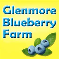 Glenmore Blueberry Farm