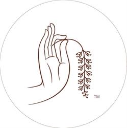 Flow Thai Massage & Spa