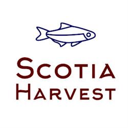 Scotia Harvest Inc.