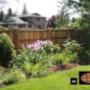 CV Cedar Premium Cedar Fence, using the Dado and Lath construction method CV Cedar Premium Cedar Fence, using the Dado and Lath construction method