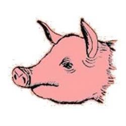 Chancho Tortilleria