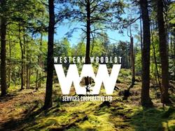 Western Woodlot Services Cooperative Ltd