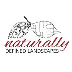 Naturally Defined Landscapes