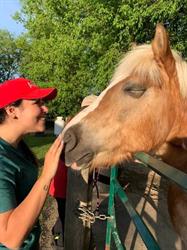 A Horse Tale Rescue/Une Histoire de Chevaux
