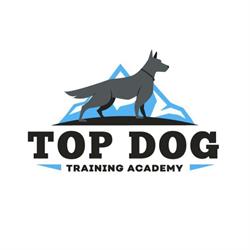 Top Dog Training Academy