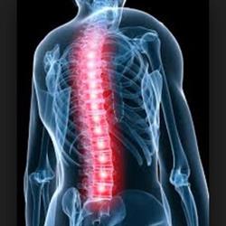 Sunrise Chiropractic