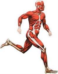 Back 2 Health Physiotherapy