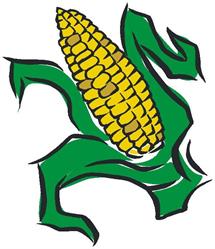 Soda Creek Sweet Corn