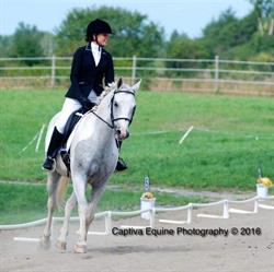 Whitewater Equestrian Centre