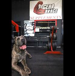 The Gear Garage