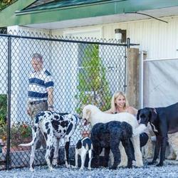 South Glengarry Pet Accommodations