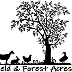 Field & Forest Acres - Homestead & Managed Forest