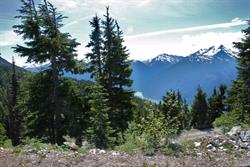 Bella Coola Wild Craft Gallery