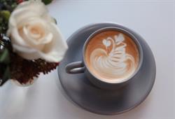 Another Land Coffee And More
