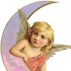 Pink Moon Health and Wellness