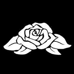 Rose & Co. Salon
