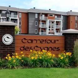Carrefour des Cygnes