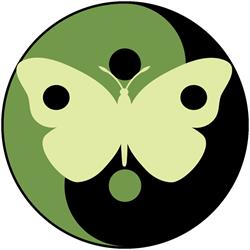 Holistic Bowen & Fitness