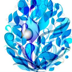 Lily Wellness Spa
